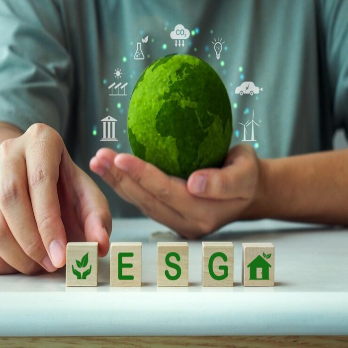 ESG Strategy & Roadmap Australia | Sustainability Strategy Consulting