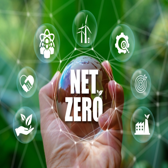 Net Zero Strategy & Decarbonisation Consulting Australia